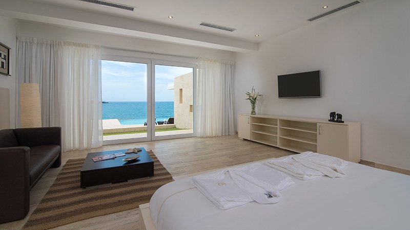Tropical Interior